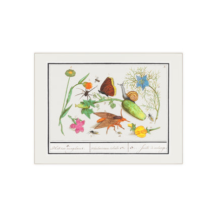 Natural History Ensemble, No. 3 Ceramic Tile