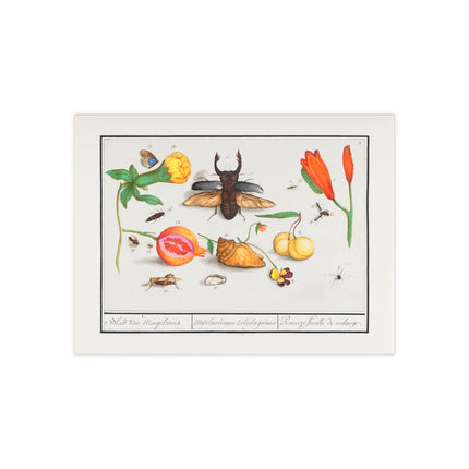 Natural History Ensemble, No. 1 Ceramic Tile