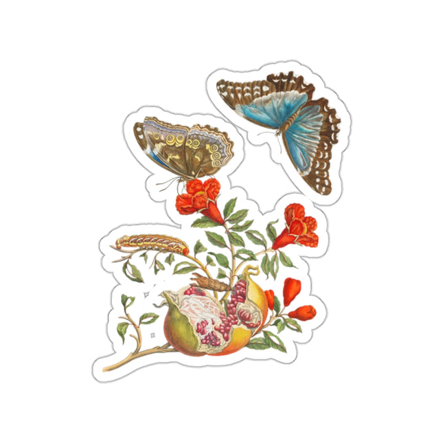 Blue Butterflies and Pomegranate by Maria Sibylla Merian Kiss-Cut Stickers (4 Sizes)