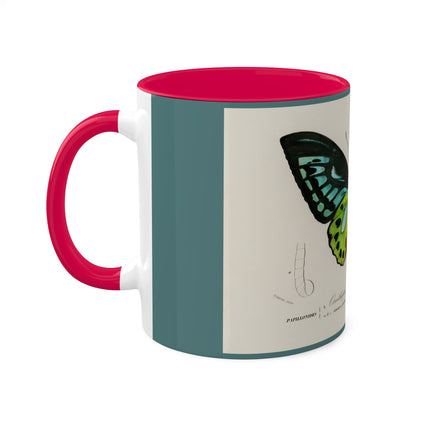 Green Birdwing by Charles Dessalines D' Orbigny Colorful Mugs, 11oz