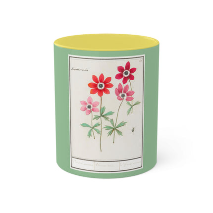 Anemoon, Anemone by Anselmus Boëtius de Boodt Colorful Mugs, 11oz