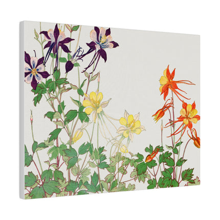 Aquilegia Flower by Tanigami Kônan – Japanese Botanical Art