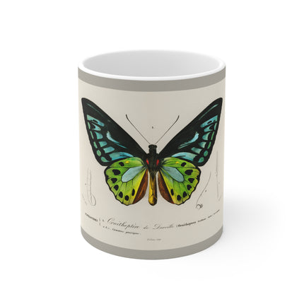 Green Birdwing by Charles Dessalines D' Orbigny Ceramic Mug 11oz