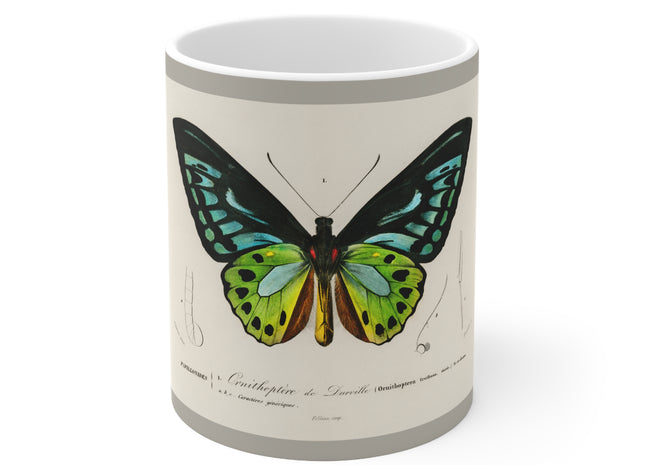 Green Birdwing by Charles Dessalines D' Orbigny Ceramic Mug 11oz