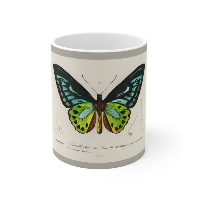 Green Birdwing by Charles Dessalines D' Orbigny Ceramic Mug 11oz