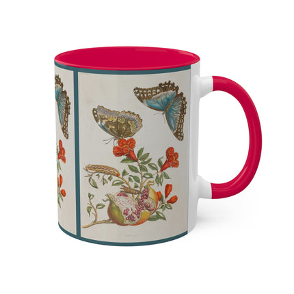 Blue Butterflies and Pomegranate by Maria Sibylla Merian Colorful Mugs, 11oz