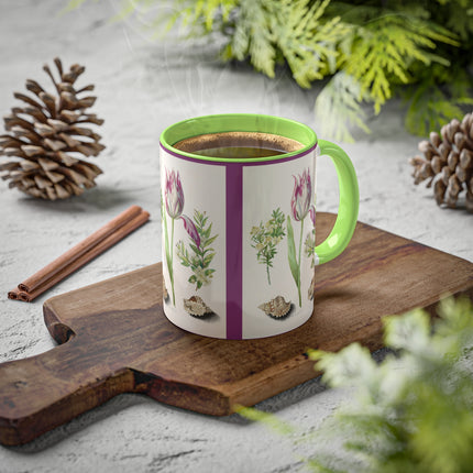 Tulip, Branches of Myrtle and Shells by Maria Sibylla Merian Colorful Mugs, 11oz