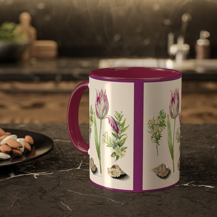 Tulip, Branches of Myrtle and Shells by Maria Sibylla Merian Colorful Mugs, 11oz