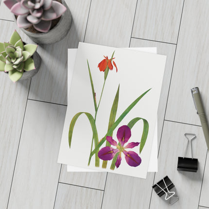 Iris Fulva & Iris Fulvala: Botanical Elegance from The Genus Iris Postcards (envelopes included) - Bundles of 10, 30, 50 Pieces