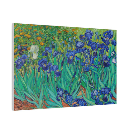 Irises by Vincent Van Gogh Matte Canvas, Stretched, 0.75"