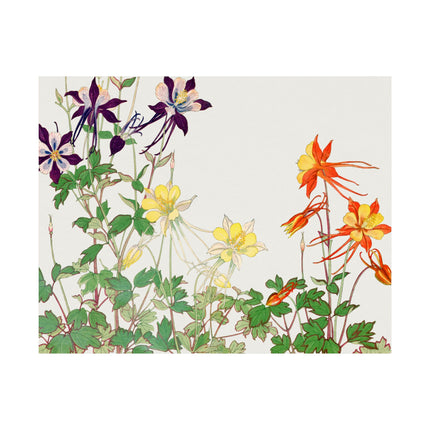 Aquilegia Flower by Tanigami Kônan Premium Matte horizontal posters