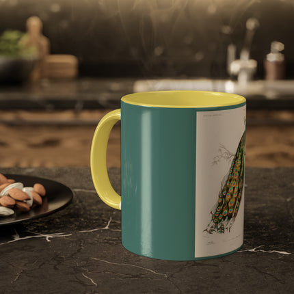 Indian Peafowl by Charles Dessalines D' Orbigny Colorful Mugs, 11oz