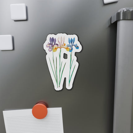 Iris, Iris sibirica by Anselmus Boëtius de Boodt Die-Cut Magnets (5 Sizes)