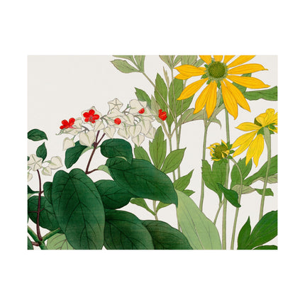 Clerodendrum & Rudbeckia by Tanigami Kônan Premium Matte Horizontal Posters
