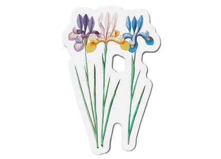 Iris, Iris sibirica by Anselmus Boëtius de Boodt Die-Cut Magnets (5 Sizes)