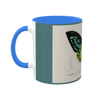 Green Birdwing by Charles Dessalines D' Orbigny Colorful Mugs, 11oz