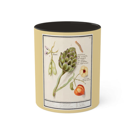 Artichoke, Broad Beans, and Lantern Plant by Anselmus Boëtius de Boodt Colorful Mugs, 11oz