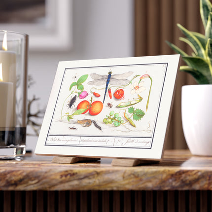 Natural History Ensemble, No. 7 Ceramic Tile