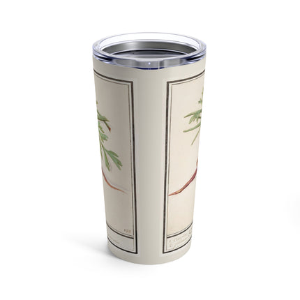 Carrot, Daucus carota and red currant, Ribes rubrum by Anselmus Boëtius de Boodt Tumbler 20oz