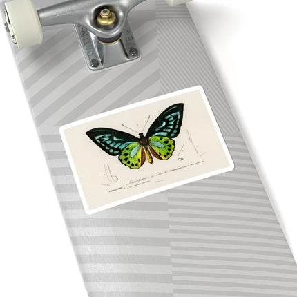 Green Birdwing by Charles Dessalines D' Orbigny Kiss-Cut Stickers (4 Sizes)