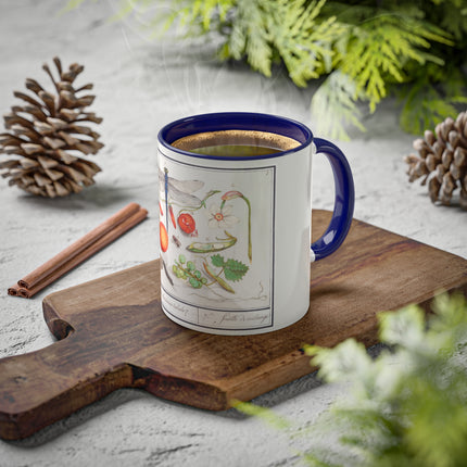 Natural History Ensemble, No. 7 by Anselmus Boëtius de Boodt Colorful Mugs, 11oz