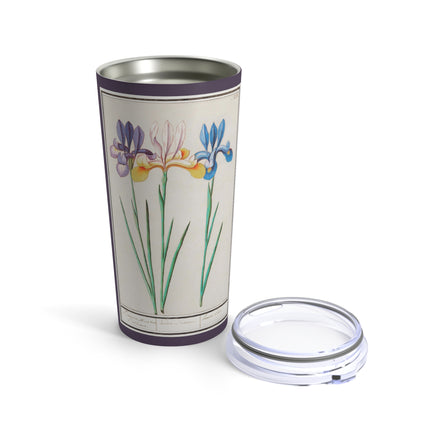Iris, Iris sibirica by Anselmus Boëtius de Boodt Tumbler 20oz