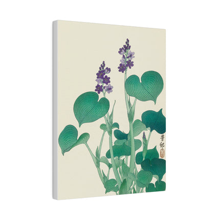 Blooming Hosta by Ohara Koson – Japanese Botanical Elegance