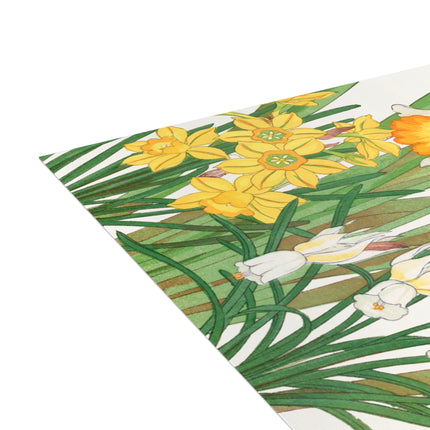 Daffodil by Tanigami Kônan Postcards (envelopes included) - Bundles of 10, 30, 50 Pieces