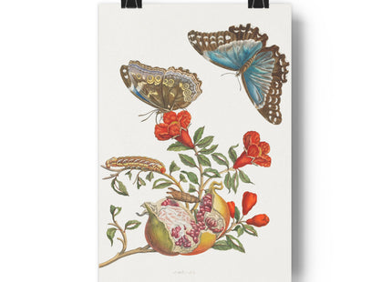 Blue Butterflies and Pomegranate Giclée Art Print