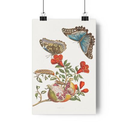 Blue Butterflies and Pomegranate Giclée Art Print