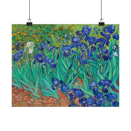 Irises by Vincent Van Gogh Matte Horizontal Posters