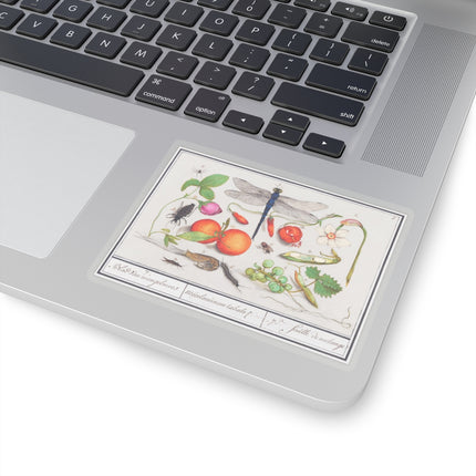 Natural History Ensemble, No. 7 by Anselmus Boëtius de Boodt Kiss-Cut Stickers (4 Sizes)