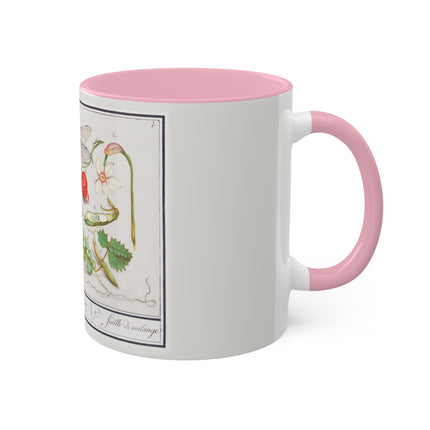 Natural History Ensemble, No. 7 by Anselmus Boëtius de Boodt Colorful Mugs, 11oz