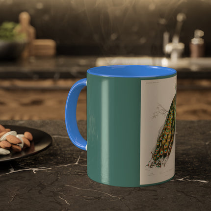 Indian Peafowl by Charles Dessalines D' Orbigny Colorful Mugs, 11oz