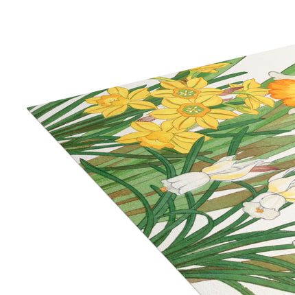 Daffodil by Tanigami Kônan Postcards (envelopes included) - Bundles of 10, 30, 50 Pieces