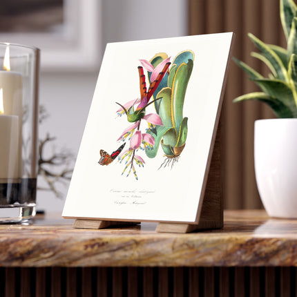 Hummingbird by Paul Gervais Ceramic Tile