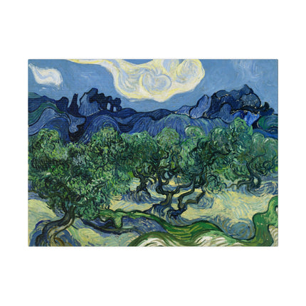 Olive Trees by Vincent Van Gogh Matte Canvas, Stretched, 0.75"