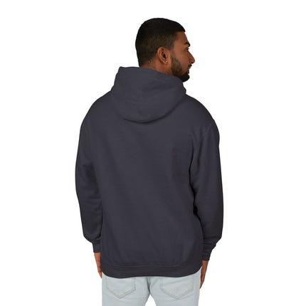 The Dragon Fairy's Dance Hoodie