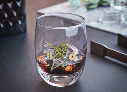 Artichoke, Broad Beans, and Lantern Plant by Anselmus Boëtius de Boodt Whiskey Glass