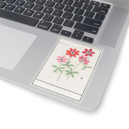 Anemoon, Anemone by Anselmus Boëtius de Boodt Kiss-Cut Stickers (4 Sizes)