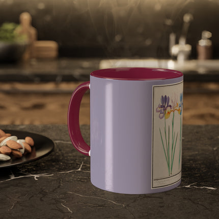 Iris, Iris sibirica by Anselmus Boëtius de Boodt Colorful Mugs, 11oz
