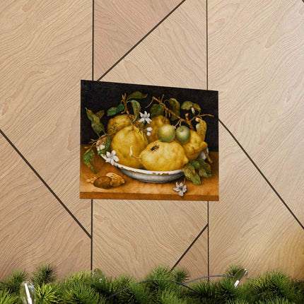 Still Life with Bowl of Citrons by Giovanna Garzoni Matte Horizontal Posters