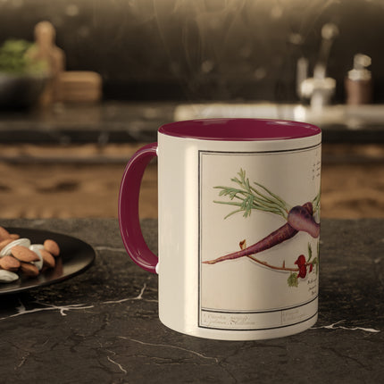 Carrot, Daucus Carota and Red currant, Ribes rubrum by Anselmus Boëtius de Boodt Colorful Mugs, 11oz