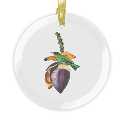 Treecreeper by Paul Gervais Glass Ornament