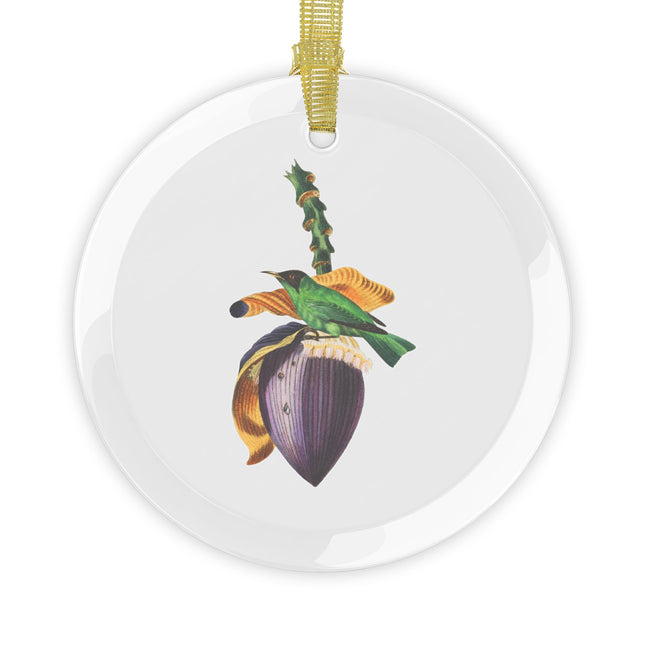 Treecreeper by Paul Gervais Glass Ornament