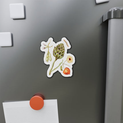 Artichoke, Broad Beans, and Lantern Plant by Anselmus Boëtius de Boodt Die-Cut Magnets (5 Sizes)