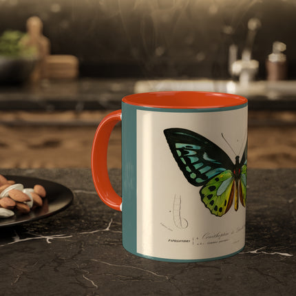 Green Birdwing by Charles Dessalines D' Orbigny Colorful Mugs, 11oz