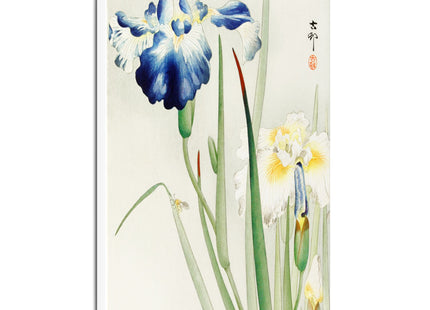Irises by Ohara Koson Matte Canvas, Stretched, 0.75"