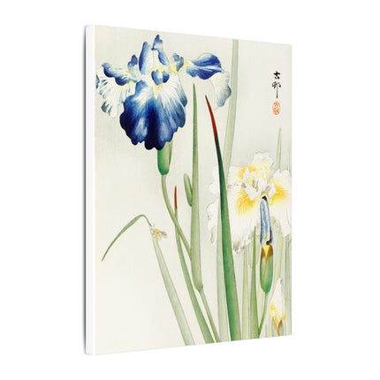 Irises in Bloom by Ohara Koson – Japanese Elegance