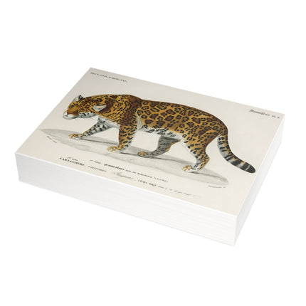 Jaguar by Charles Dessalines D'Orbigny Postcards (envelopes included) - Bundles of 10, 30, 50 Pieces